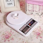 Digital Weight Scale