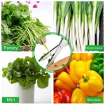 vegetable scissors cutter