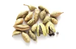 cardamom seeds